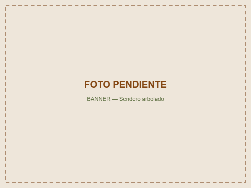 Sendero arbolado